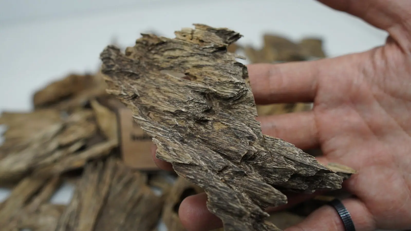 Kalimantan - Malinau Indonesian agarwood product catalogue