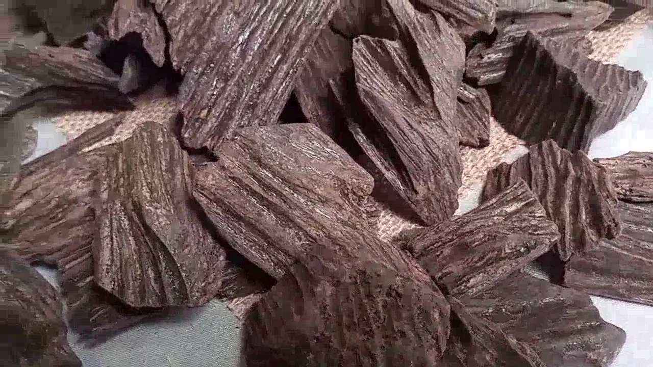 غلاف فيديو منتج العود
