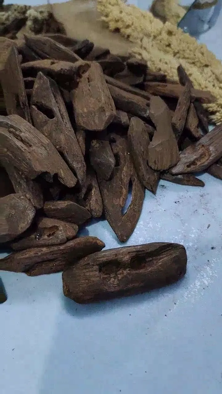 Indonesian Agarwood – Cavity-Rich Elongated Pieces video cover