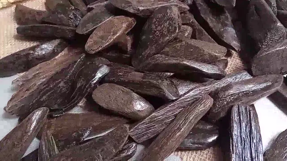 Indonesian Agarwood Black Asgon – Dark Dense Chips video cover