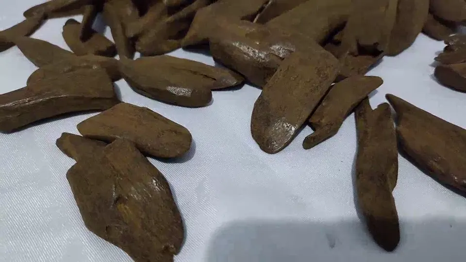 Indonesian Agarwood Asgon – Elongated Uniform Pieces video cover