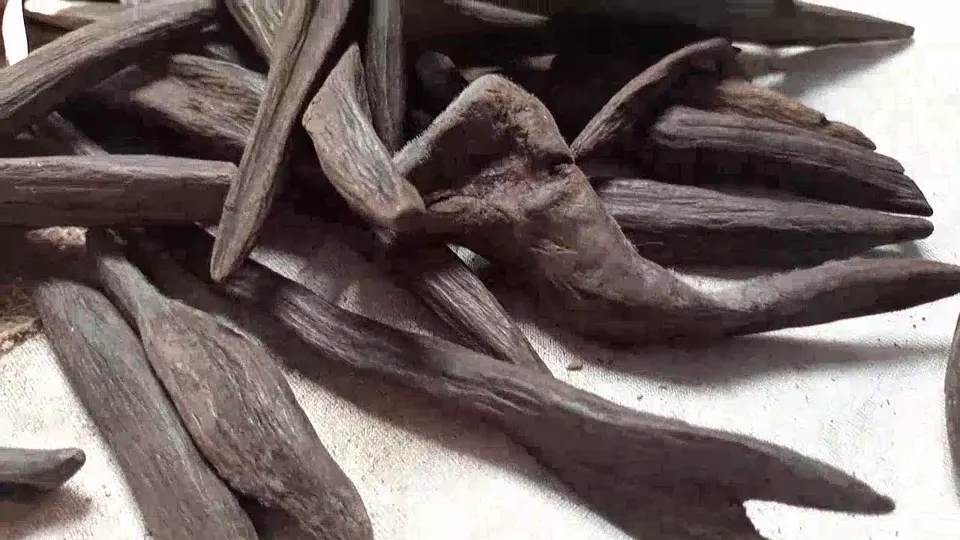 Indonesian Agarwood – Long Narrow Dark Chips video cover