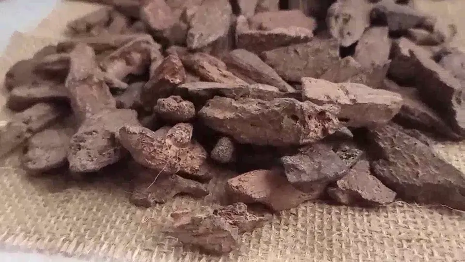 Indonesian Agarwood Kaha – Natural Irregular Pieces video cover