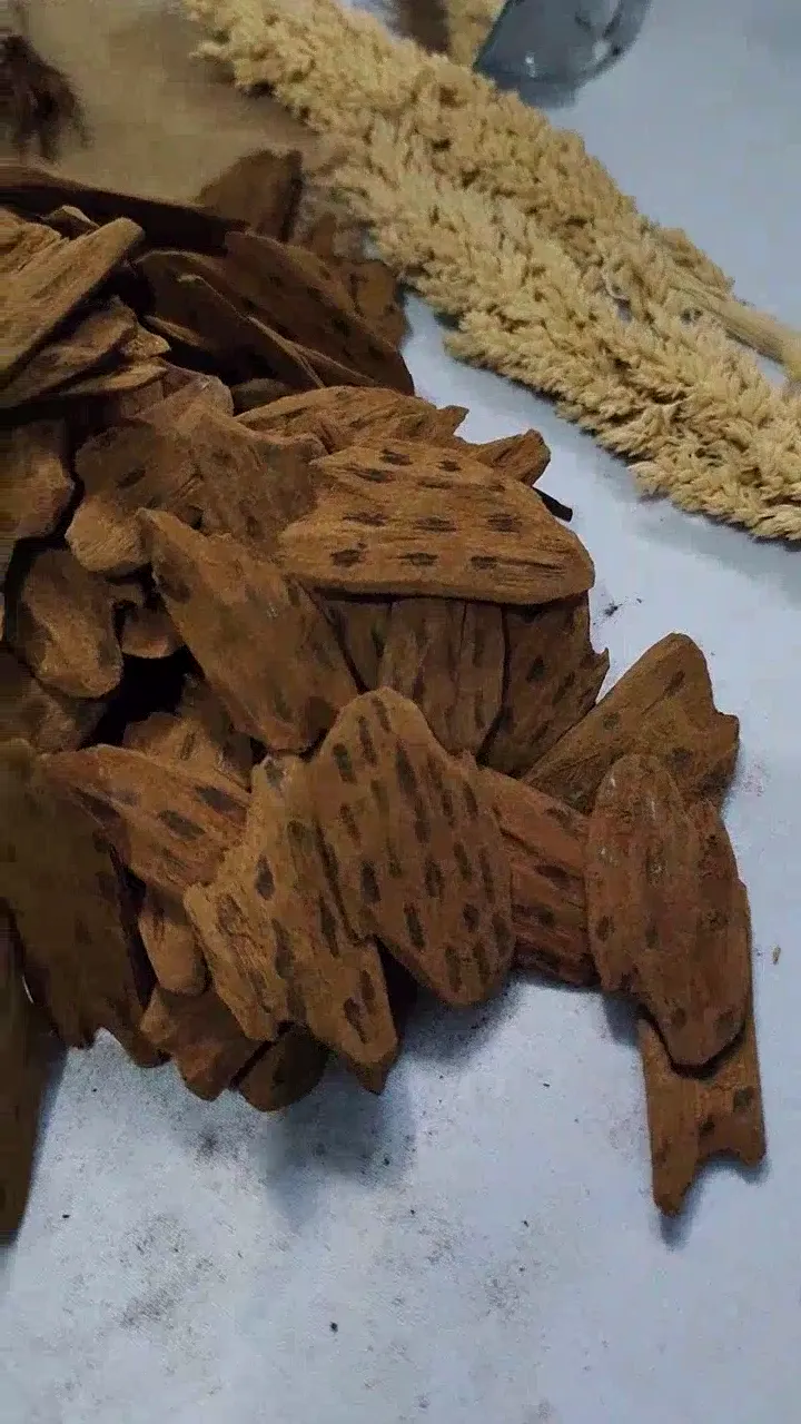 Indonesian Agarwood Tiger – Patterned Flat Chips video cover