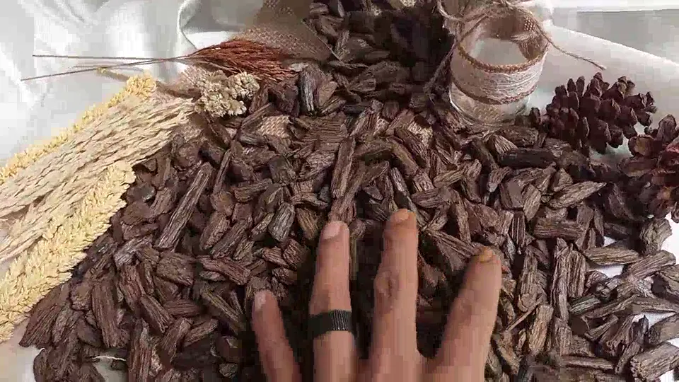 Indonesian Agarwood Duga Soa-Soa – Small Rough Chips video cover